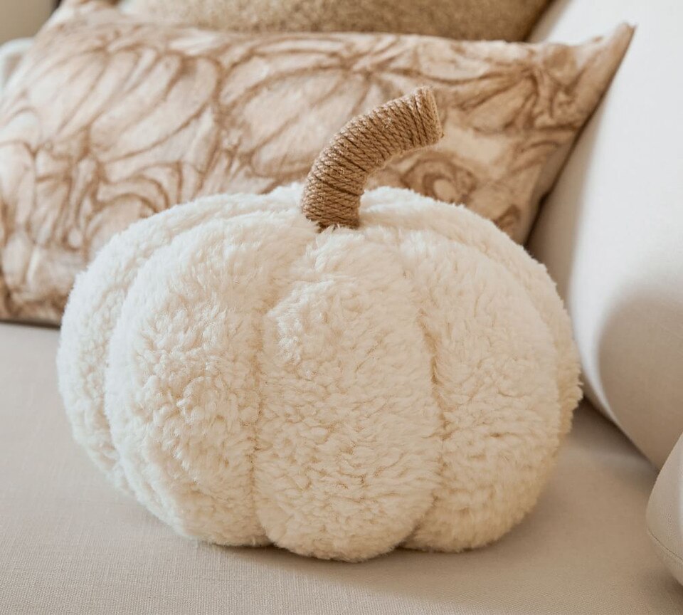 Cosy Pumpkin Cushions Pottery Barn Australia